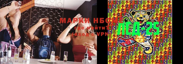 ГАЛЛЮЦИНОГЕННЫЕ ГРИБЫ Баксан