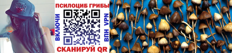где продают наркотики  Петровск-Забайкальский  Псилоцибиновые грибы MAGIC MUSHROOMS 